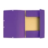 Gumis mappa karton  prespán A/4 Exacompta lila