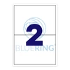 Etikett címke, 210x148mm, 100 lap, 2 címke/lap Bluering®