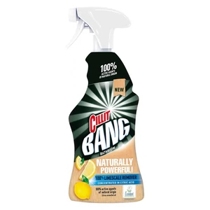 Cillit Bang Kosz &amp;amp; Vízkőoldó szórófejjel, 750 ml