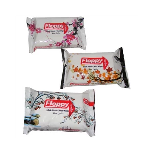 Nedves törlőkendő 70 lap/csomag Floppy