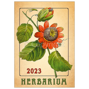 Falinaptár képes 315 × 450 mm Herbarium Dayliner 2023.