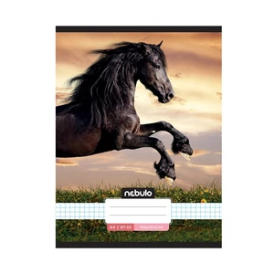 Nebulo A4 kockás füzet, 87–32 vonalazás, L-Design borítók, 12 db/csomag – stabil tűzéssel, iskolai használatra