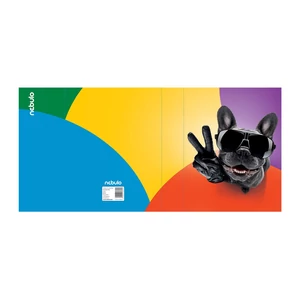 Füzetbox, A5, Menő kutya, Nebulo