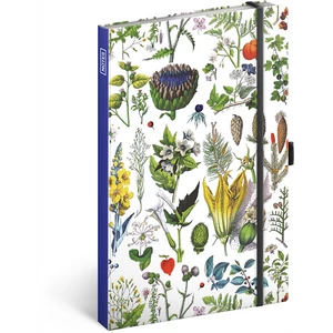 Keménytáblás notesz vonalas krémszínű lapokkal leszorító gumiszalaggal Herbs 130x210mm, Presco