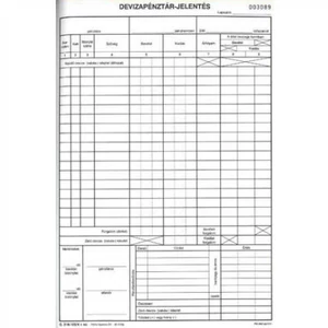 Deviza pénztárjelentés A4, álló 25x2lapos C.318-123/V Pátria 