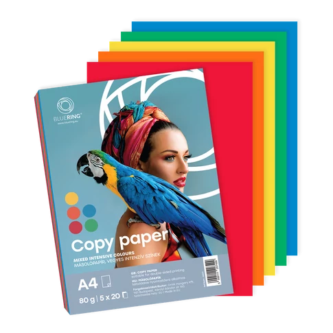 Bluering intenzív színes másolópapír A4, 80 g, 5 féle élénk árnyalatban, 100 lapos csomag