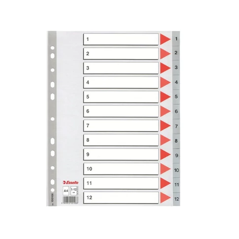 Regiszter műanyag A4, 1-12 Esselte szürke