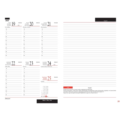 Tanítói zsebbkönyv A5, műbőr 145mmx205mm, fehér lapokkal (bagoly) 2024/2025 Realsystem