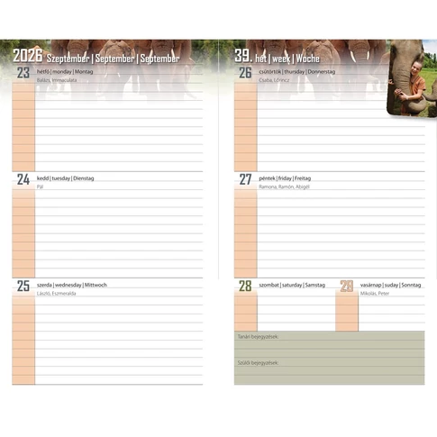 Diák zsebkönyv 125mmx205mm, fehér lapokkal 2026/2027 mackó Realsystem