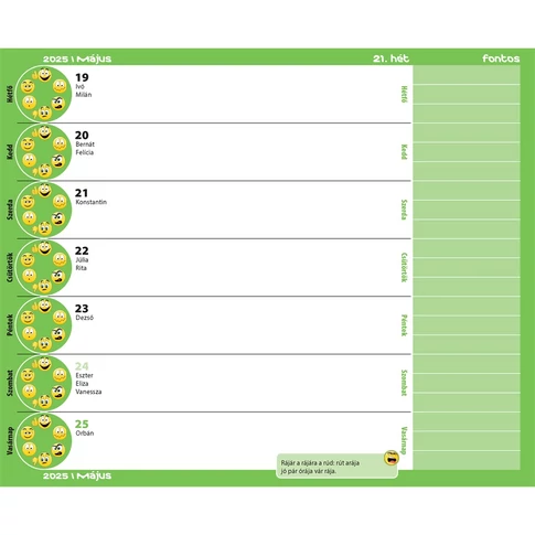 Diák zsebkönyv 125mmx205mm, fehér lapokkal 2024/2025 (láma) Realsystem