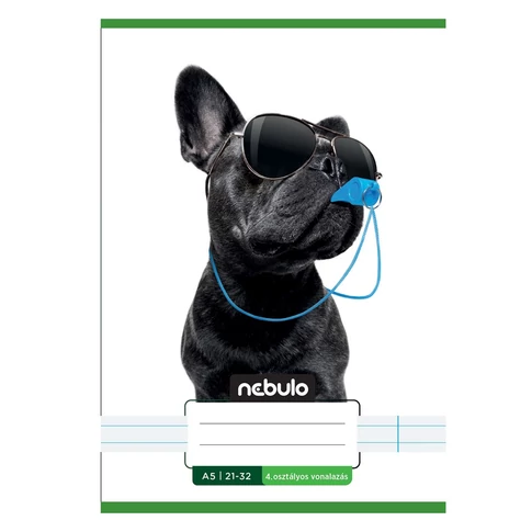 Füzet, A5, 4. osztályos vonalas, 21-32, Vagány minták, II., 16 db/csomag Nebulo