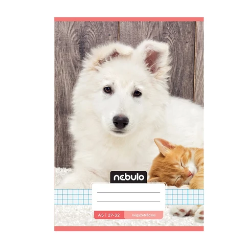 Füzet, A5, kockás, 27-32, Cuki minták, 16 db/csomag Nebulo