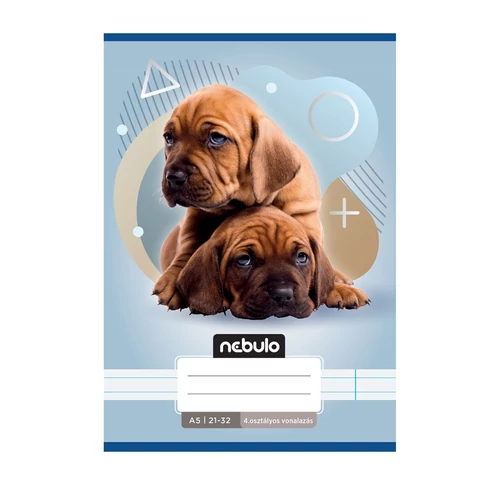 Füzet, A5, 4. osztályos vonalas, 21-32, Állatos minták, 16 db/csomag Nebulo