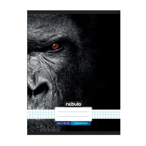Füzet, A4, kockás, 87-32, Xtreme minták, 12 db/csomag Nebulo