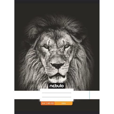 Füzet, A4, sima, 80-32, Xtreme minták, 12 db/csomag Nebulo