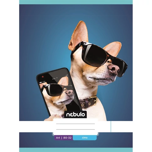 Füzet, A4, sima, 80-32, L-Design minták, 12 db/csomag Nebulo