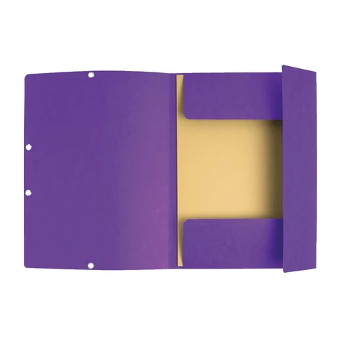 Gumis mappa karton  prespán A/4 Exacompta lila